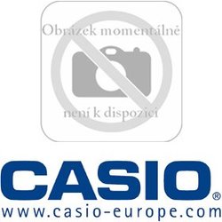 DT 5057 CF LASER SCANNER CASIO
