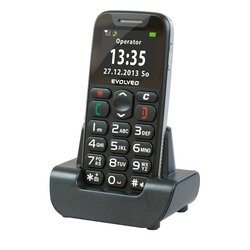 Mobilní telefon Evolveo EasyPhone EP-500 - černý