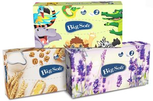 Kosmetické ubrousky Big Soft deluxe 2 vrstvé 100 ks